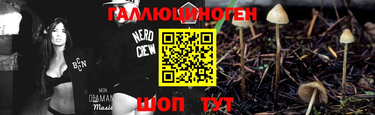 Псилоцибиновые грибы мицелий Уварово
